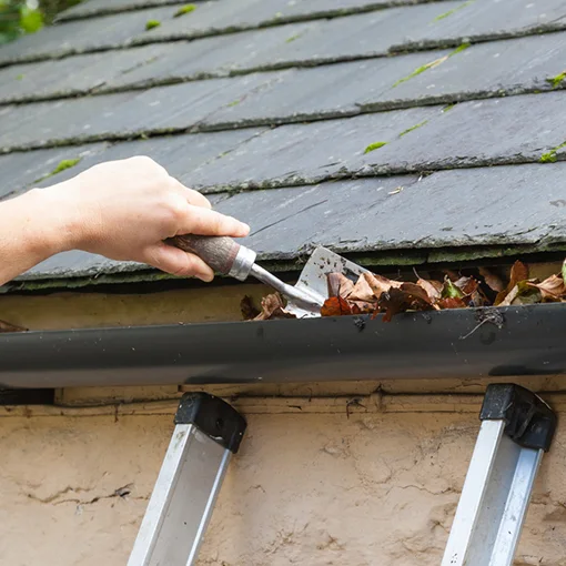 Removing leaves from a roof gutter