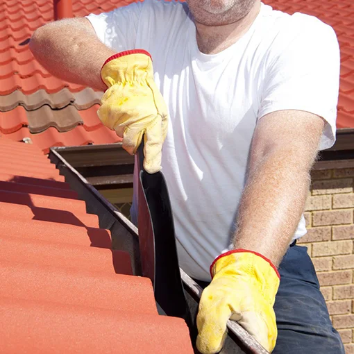 Removing debris from a gutter beside a tiled roof