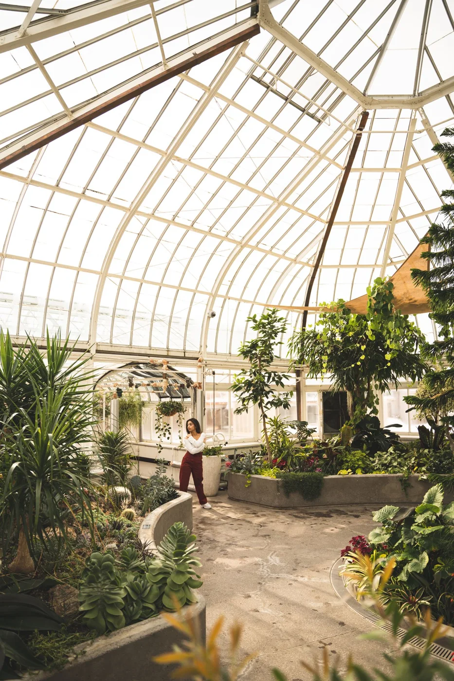 Glazed conservatory with plants inside