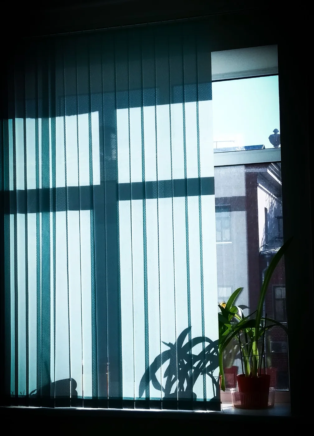 Vertical blinds beside an indoor plant